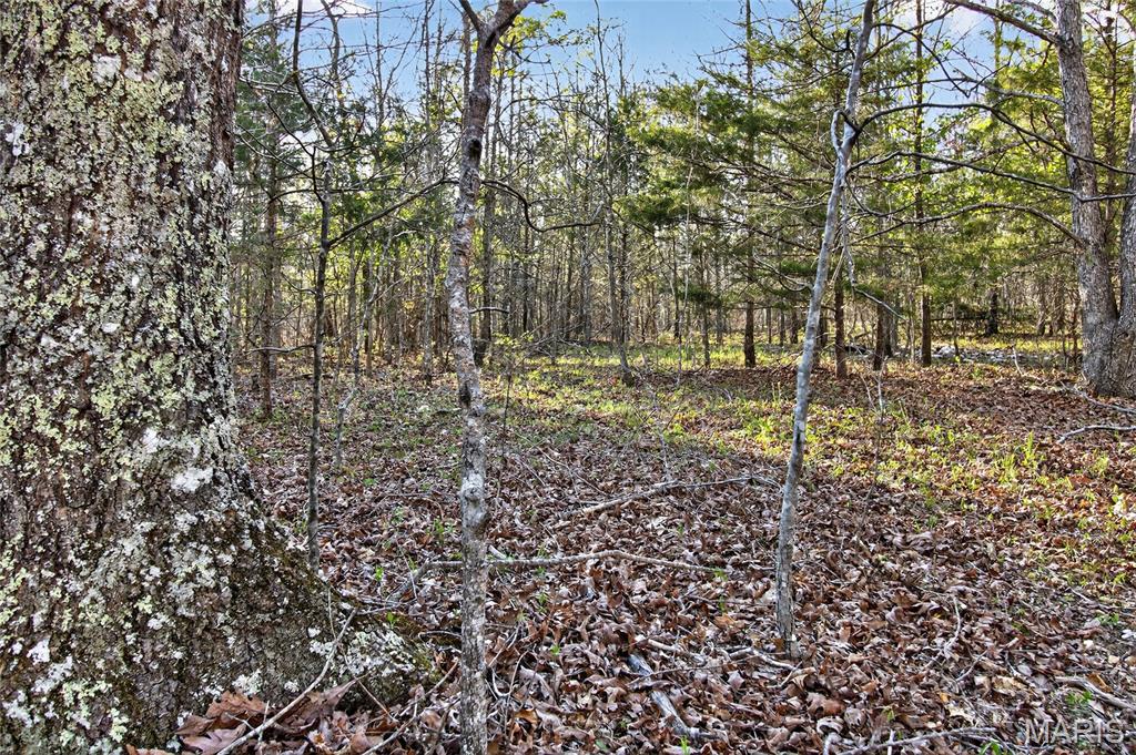 Bartlett Township - Land