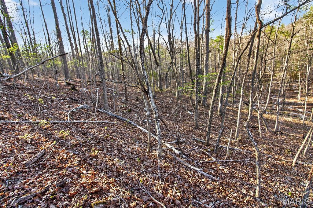 Bartlett Township - Land
