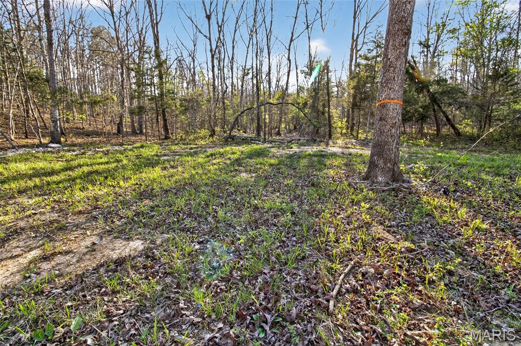 Bartlett Township - Land