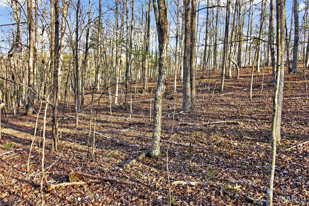 Bartlett Township - Land