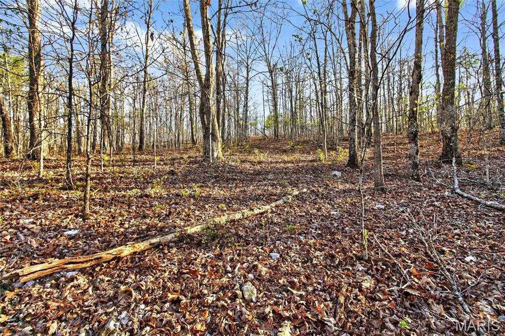 Bartlett Township - Land