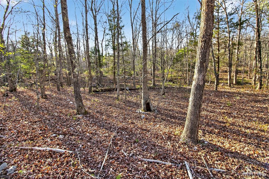 Bartlett Township - Land