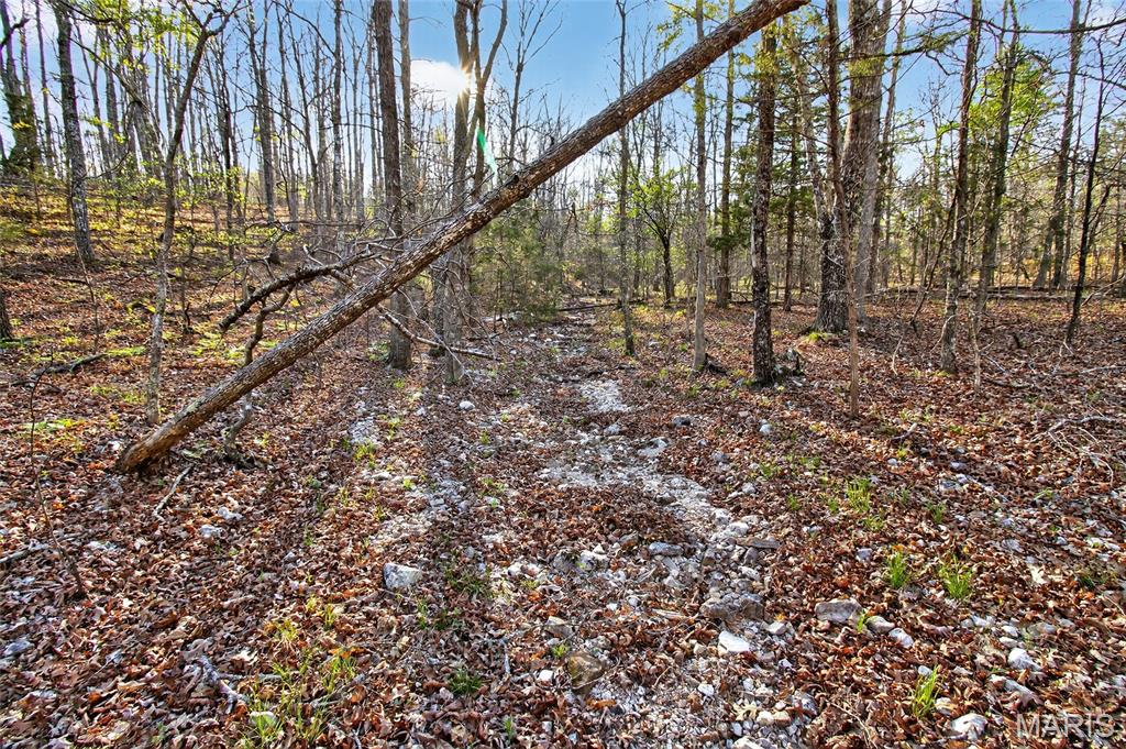 Bartlett Township - Land