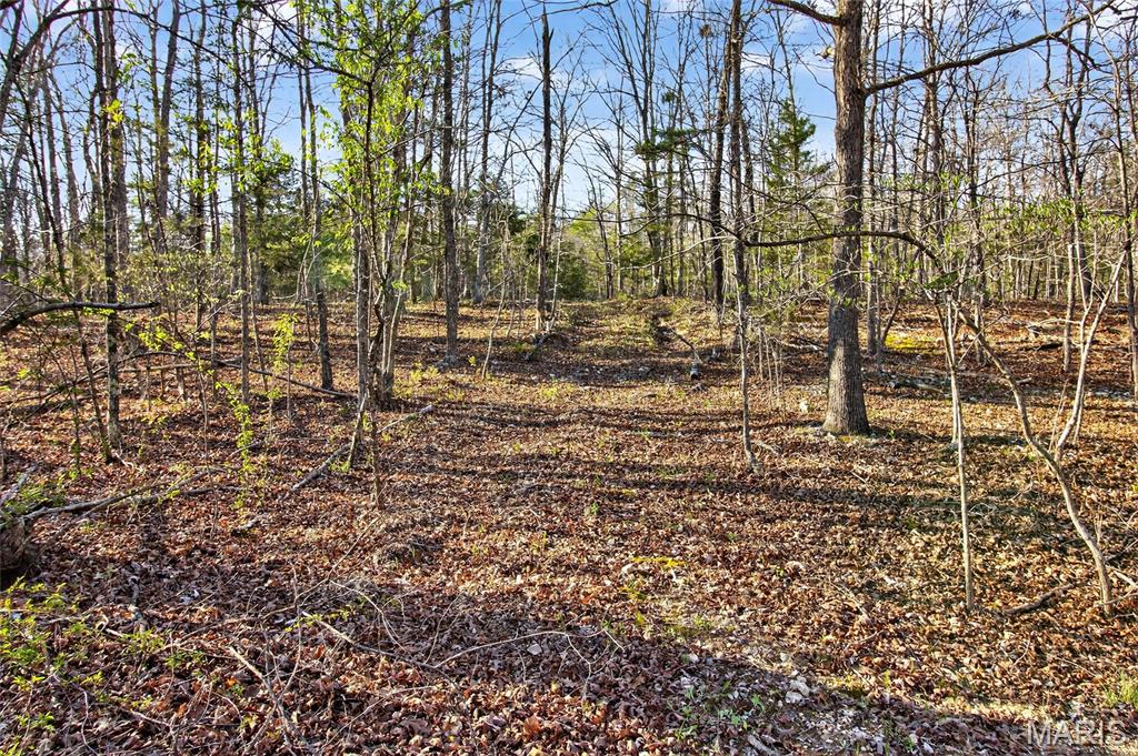 Bartlett Township - Land