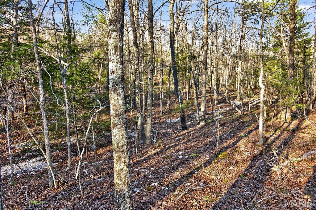 Bartlett Township - Land