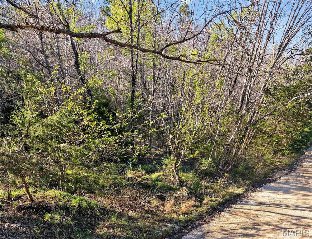 Bartlett Township - Land
