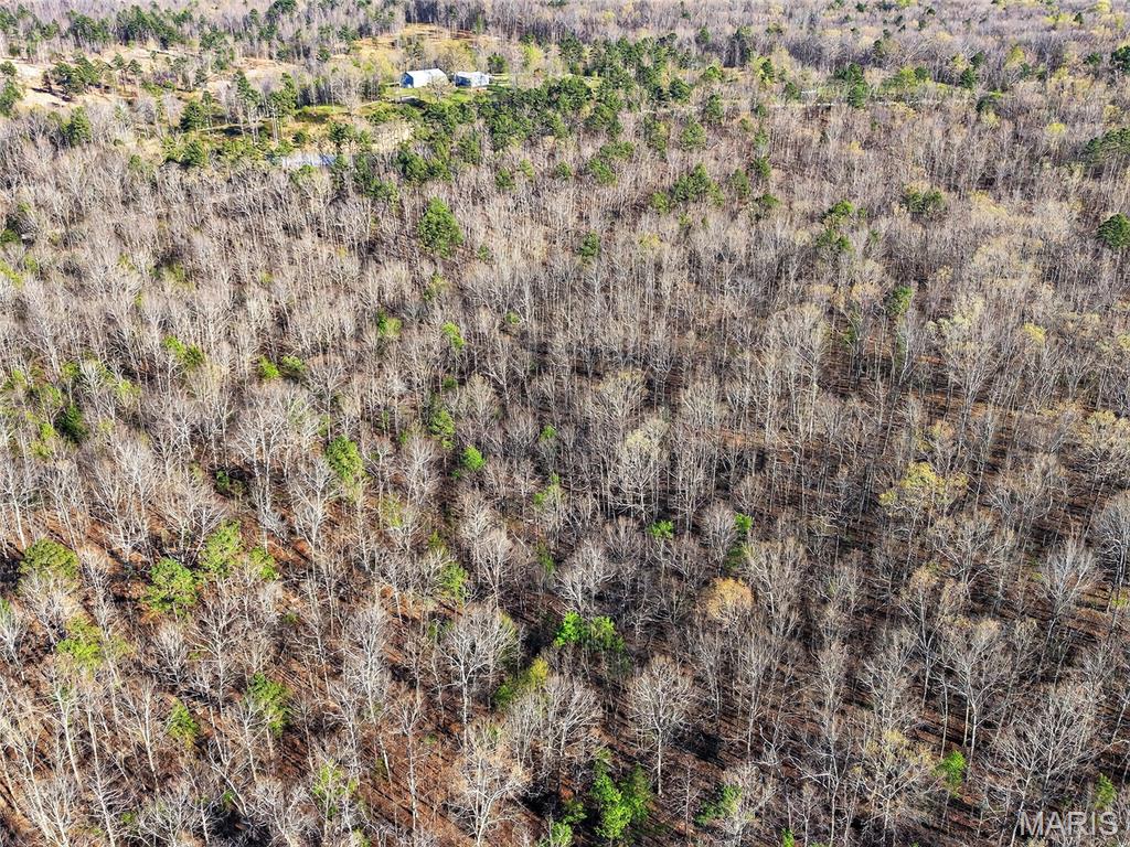 Bartlett Township - Land