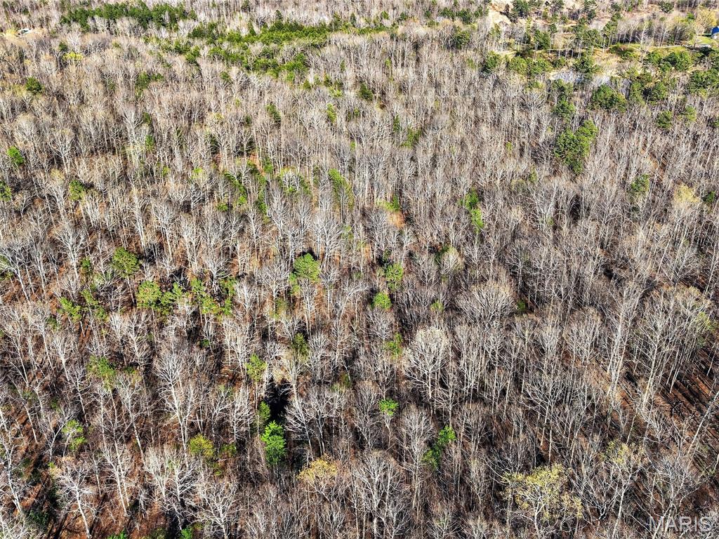 Bartlett Township - Land