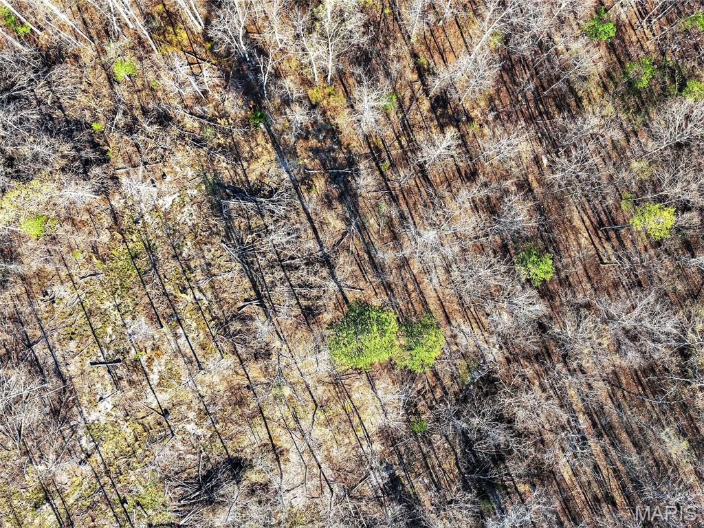 Bartlett Township - Land