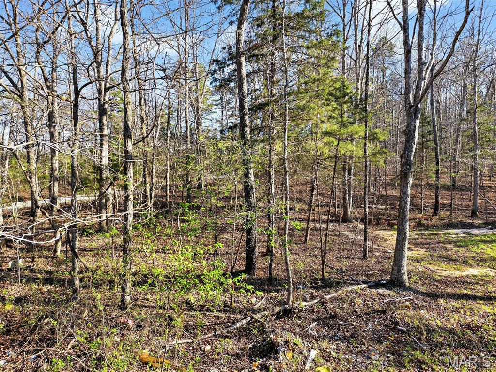 Bartlett Township - Land