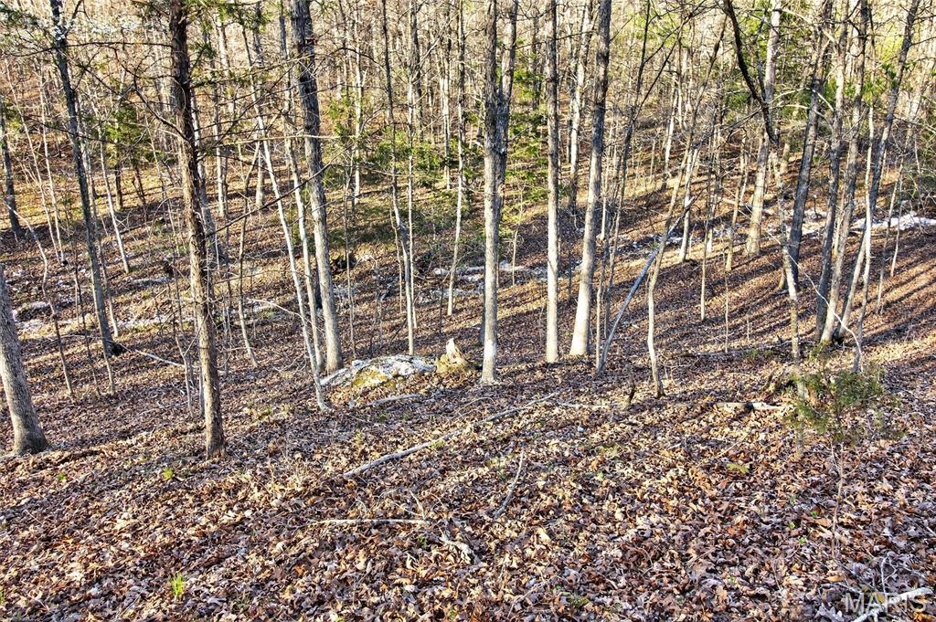 Bartlett Township - Land