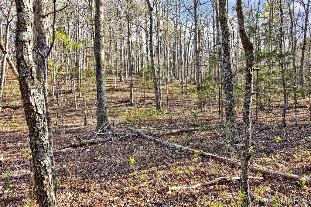 Bartlett Township - Land
