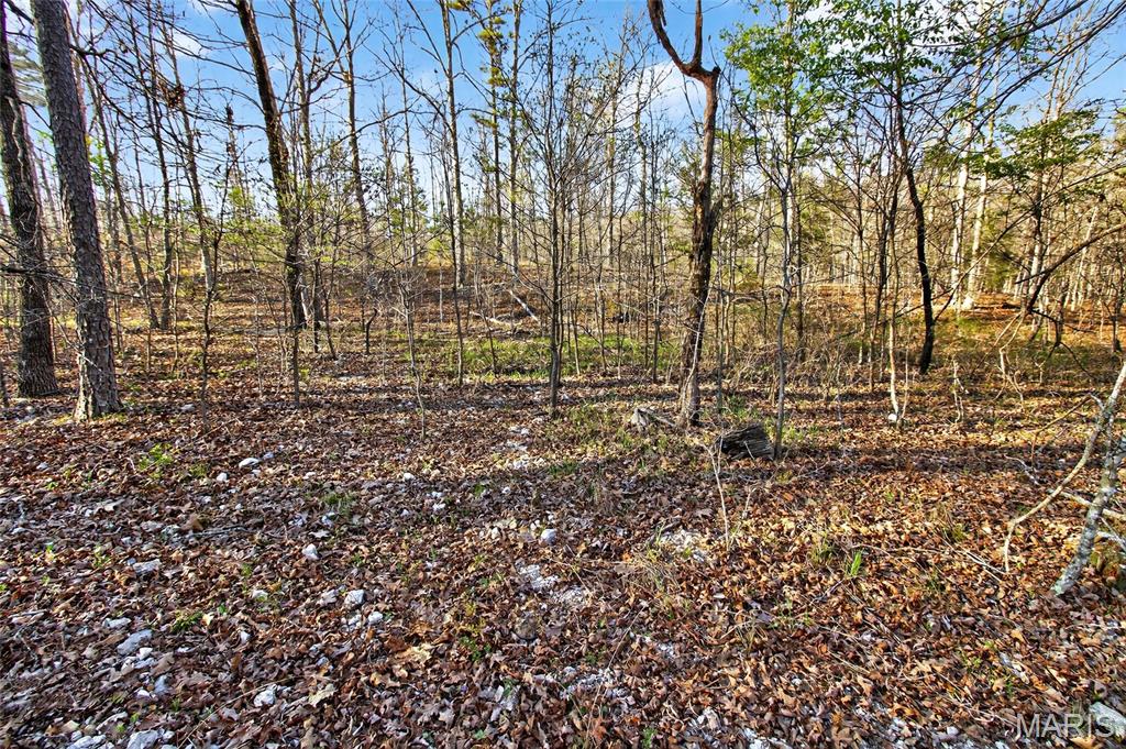 Bartlett Township - Land