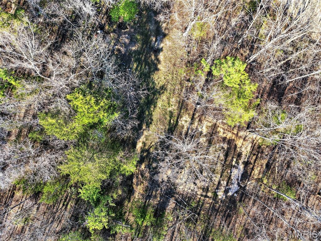Bartlett Township - Land