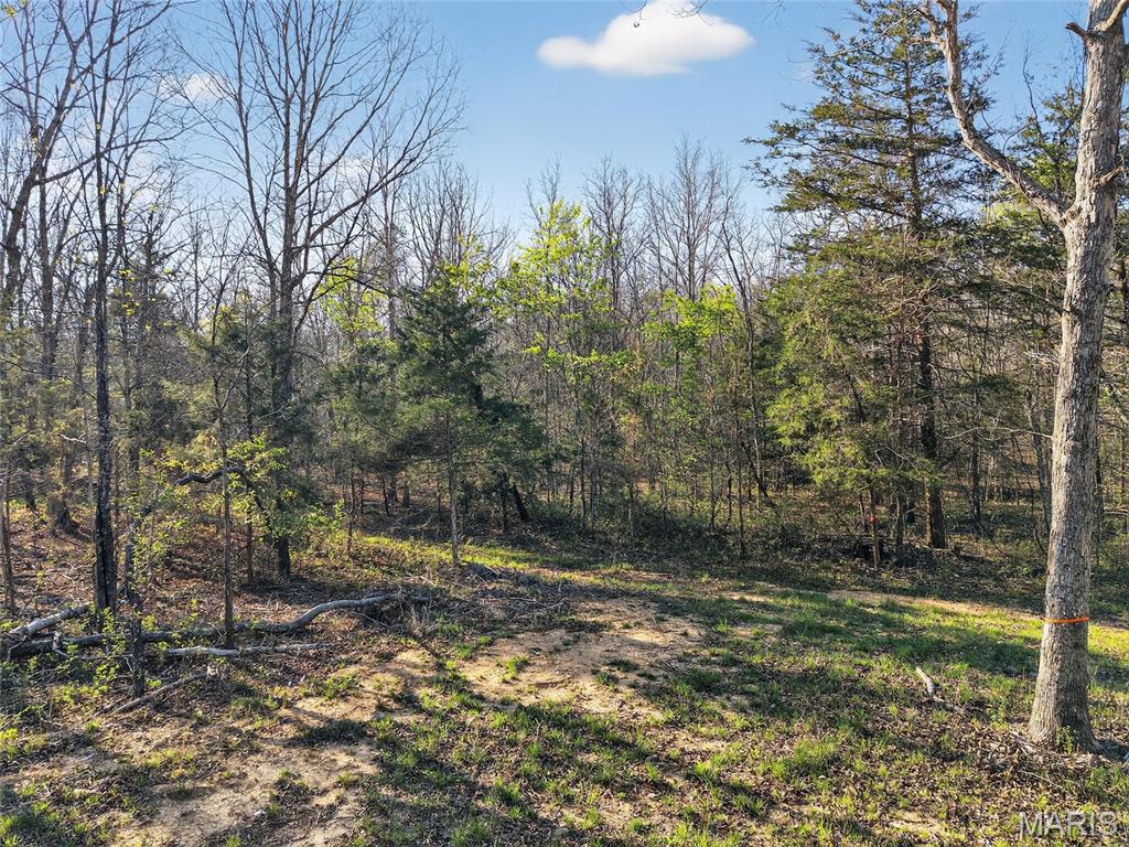 Bartlett Township - Land