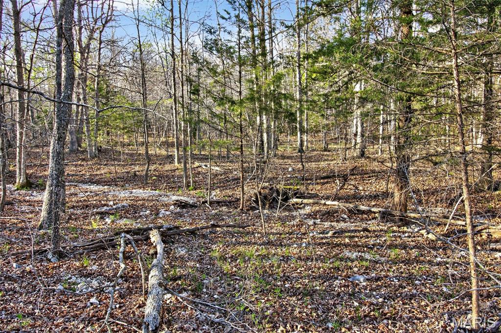 Bartlett Township - Land