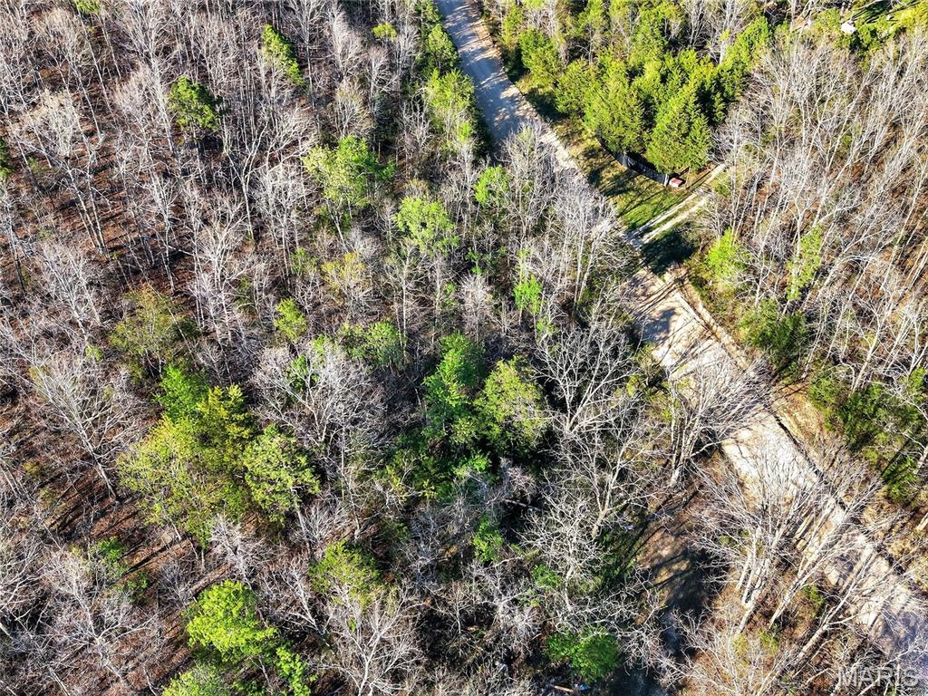 Bartlett Township - Land