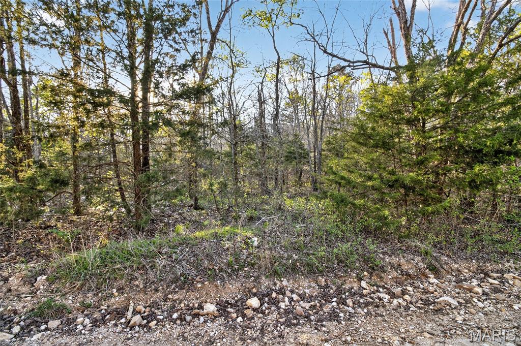 Bartlett Township - Land