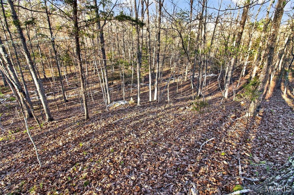 Bartlett Township - Land