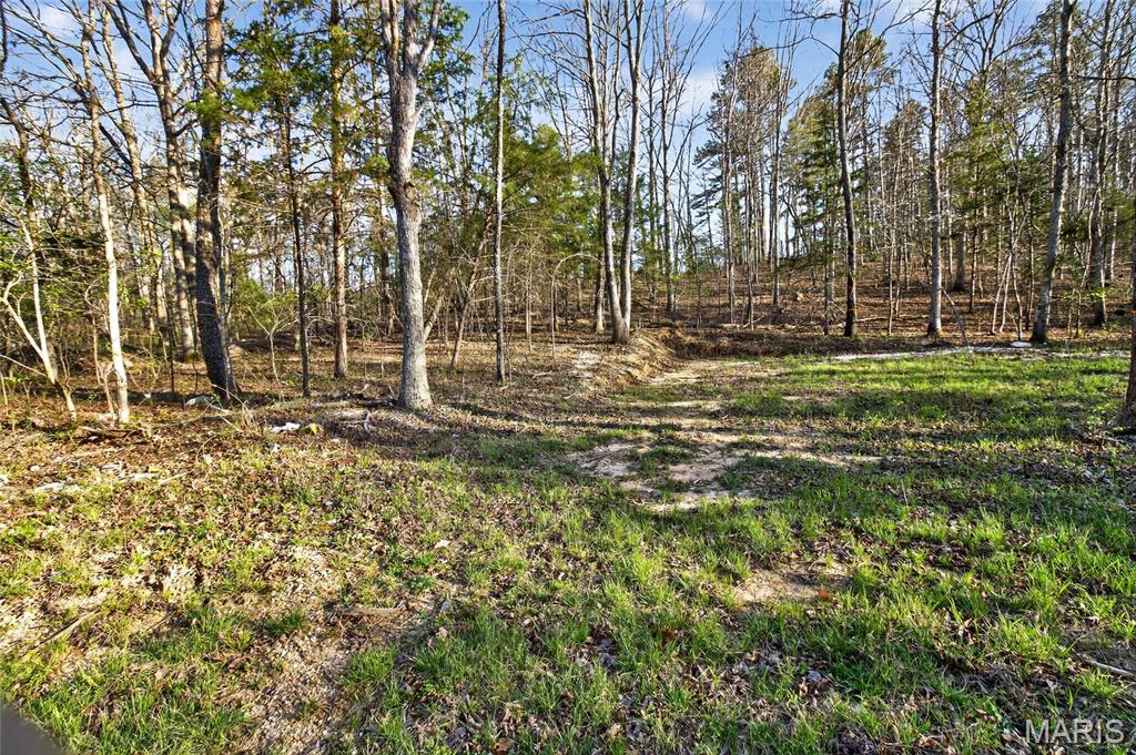 Bartlett Township - Land