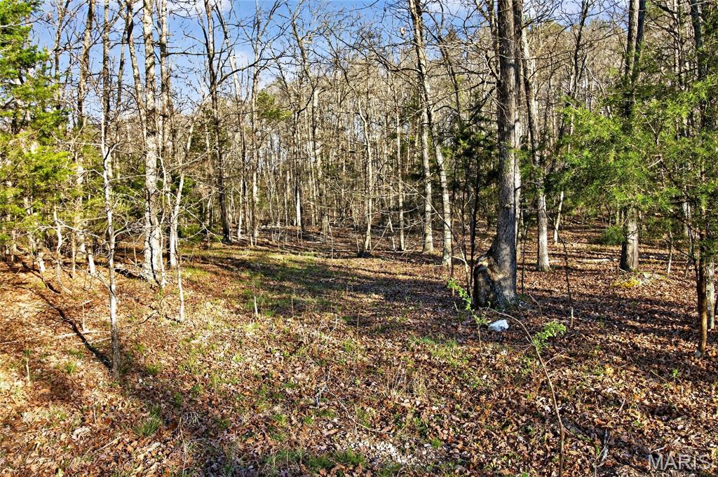 Bartlett Township - Land