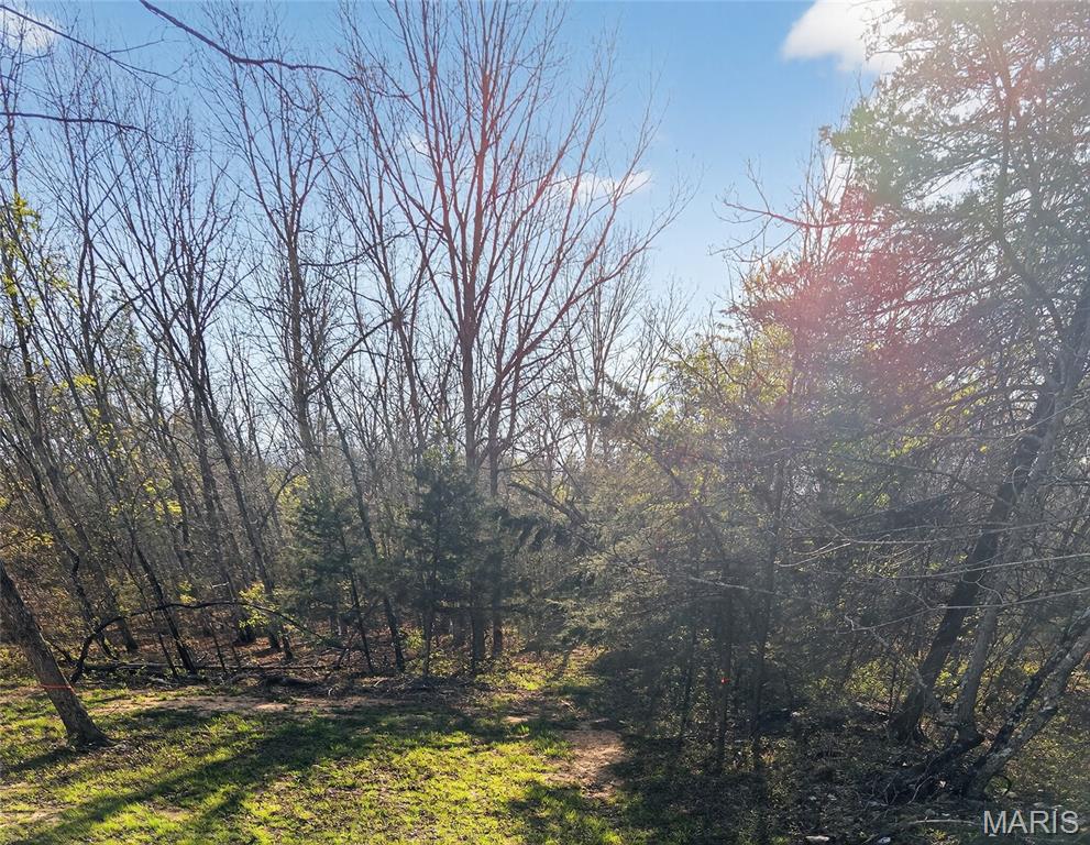 Bartlett Township - Land