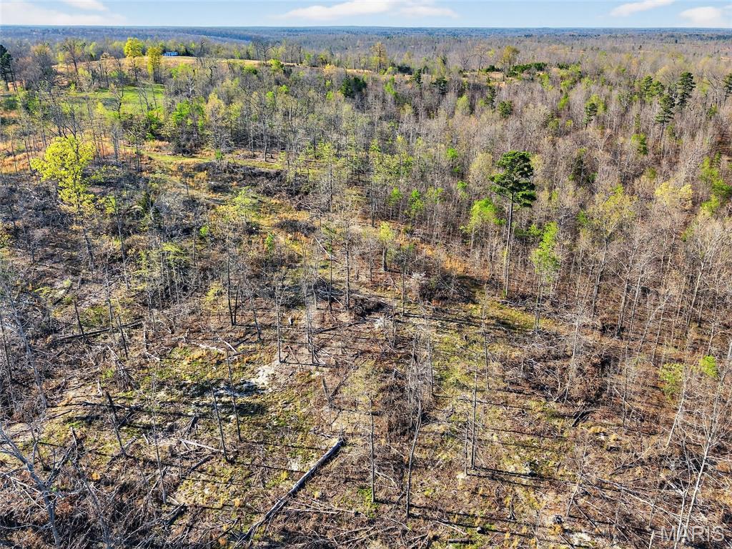 Bartlett Township - Land