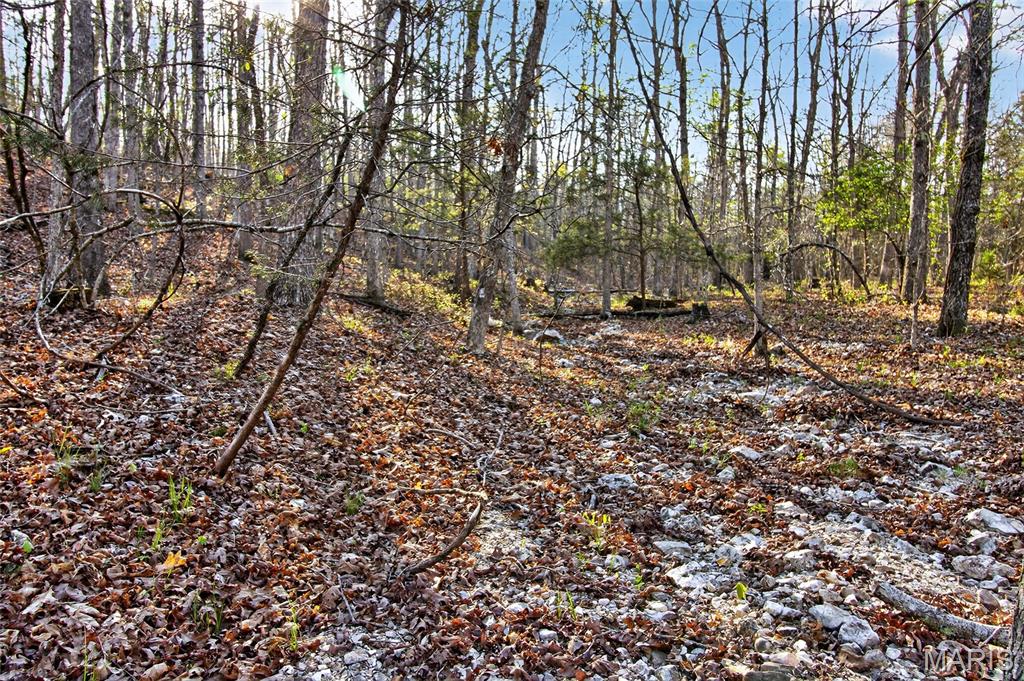 Bartlett Township - Land