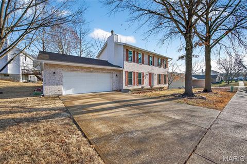 2128 Doe Run Drive Arnold MO 63010