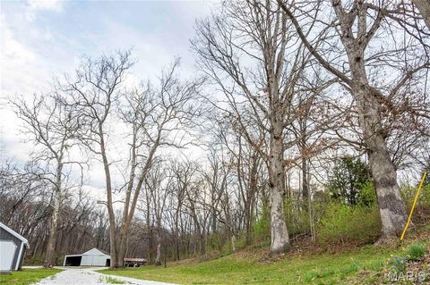Tiny photo for 161 Taylor School Road, Winfield, MO 63389 (MLS # 26020629)