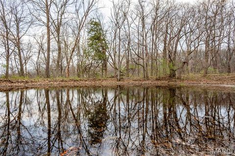 Tiny photo for 161 Taylor School Road, Winfield, MO 63389 (MLS # 26020629)
