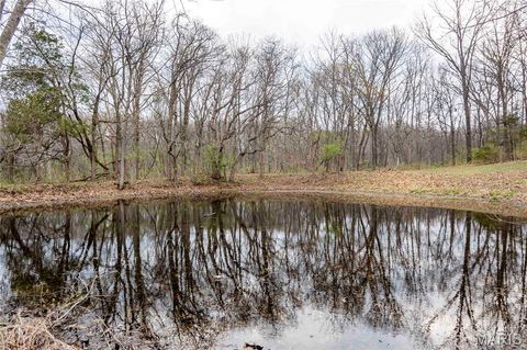 Tiny photo for 161 Taylor School Road, Winfield, MO 63389 (MLS # 26020629)