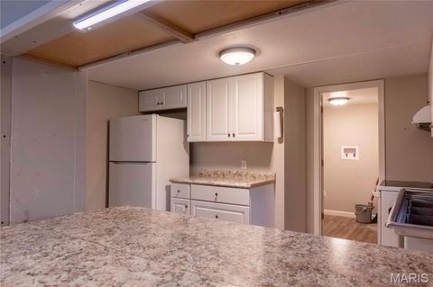 Tiny photo for 161 Taylor School Road, Winfield, MO 63389 (MLS # 26020629)