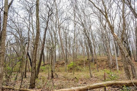 Tiny photo for 161 Taylor School Road, Winfield, MO 63389 (MLS # 26020629)