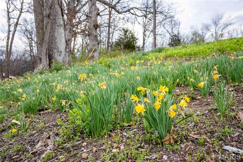 Tiny photo for 161 Taylor School Road, Winfield, MO 63389 (MLS # 26020629)