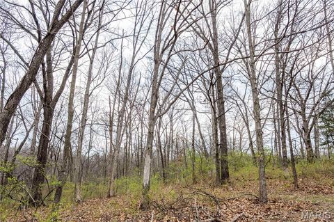 Tiny photo for 161 Taylor School Road, Winfield, MO 63389 (MLS # 26020629)