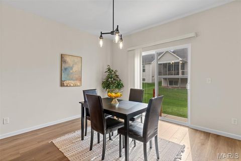 Tiny photo for 16920 Red Dragon Place, Wildwood, MO 63011 (MLS # 26025791)