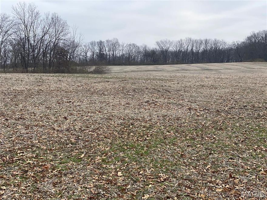 Development Tract on Elm Tree Road! 30+/- acres South of Troy fronting Elm Tree Road and near Troy 9th Grade Center.  Joins Troy City limits to the North.  Utilities available. Additional acreage available.  Owner will divide. $65,000/acre