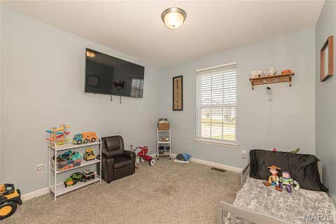 Tiny photo for 162 Williamsburg Lane, Troy, MO 63379 (MLS # 26048046)