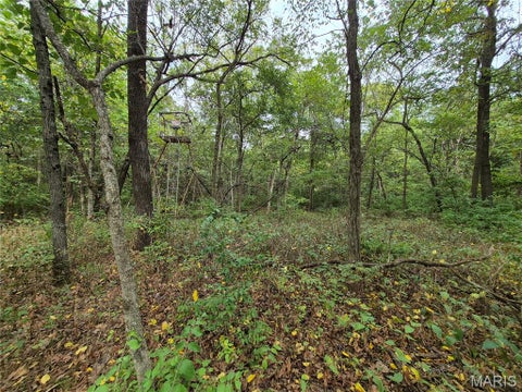 Tiny photo for 0 Russell Rd. (Tract 5 - 24.80+/- Acres), Troy, MO 63379 (MLS # 26060016)