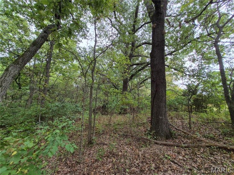 Tiny photo for 0 Russell Rd. (Tract 5 - 24.80+/- Acres), Troy, MO 63379 (MLS # 26060016)