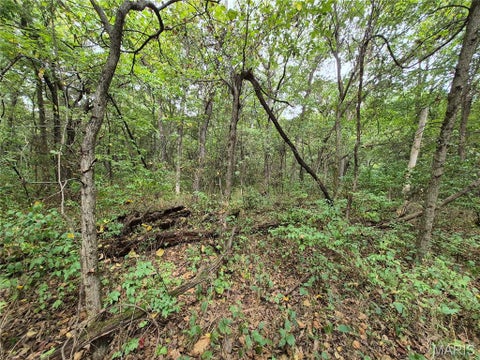 Tiny photo for 0 Russell Rd. (Tract 5 - 24.80+/- Acres), Troy, MO 63379 (MLS # 26060016)