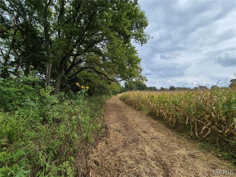 Tiny photo for 0 Russell Rd. (Tract 5 - 24.80+/- Acres), Troy, MO 63379 (MLS # 26060016)