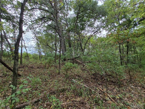 Tiny photo for 0 Russell Rd. (Tract 5 - 24.80+/- Acres), Troy, MO 63379 (MLS # 26060016)