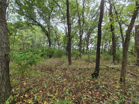 Tiny photo for 0 Russell Rd. (Tract 5 - 24.80+/- Acres), Troy, MO 63379 (MLS # 26060016)