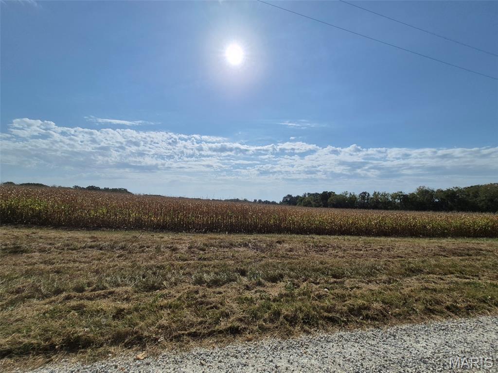 0 Russell Rd. (Tract 5 - 24.80+/- Acres)