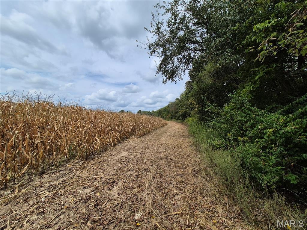 0 Russell Rd. (Tract 5 - 24.80+/- Acres)