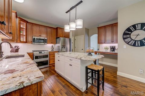 Tiny photo for 525 Forest Park Drive, Wentzville, MO 63385 (MLS # 25070058)