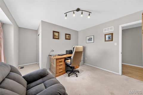 Tiny photo for 16532 Branchwood Drive, Wildwood, MO 63011 (MLS # 25078235)