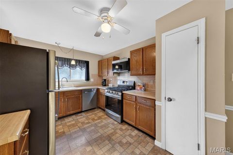 Tiny photo for 16532 Branchwood Drive, Wildwood, MO 63011 (MLS # 25078235)